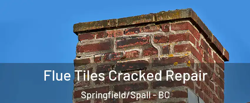  Flue Tiles Cracked Repair Springfield/Spall - BC