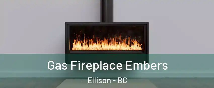  Gas Fireplace Embers Ellison - BC