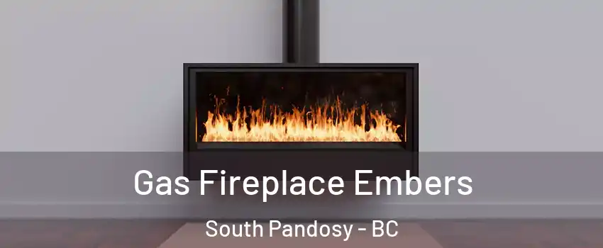  Gas Fireplace Embers South Pandosy - BC
