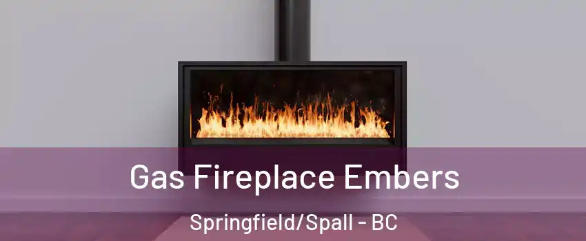  Gas Fireplace Embers Springfield/Spall - BC