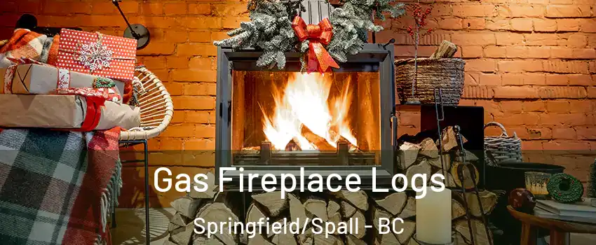  Gas Fireplace Logs Springfield/Spall - BC