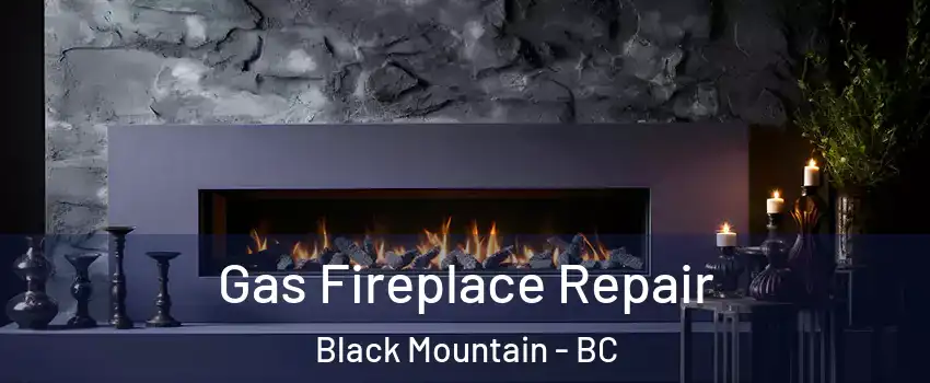  Gas Fireplace Repair Black Mountain - BC