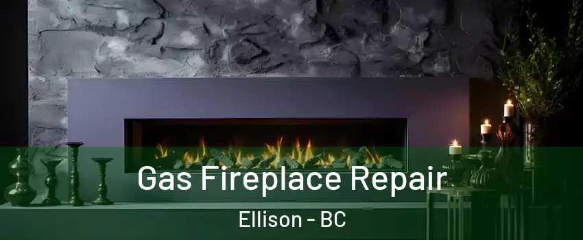  Gas Fireplace Repair Ellison - BC