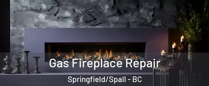  Gas Fireplace Repair Springfield/Spall - BC