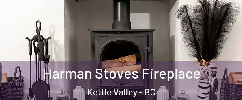  Harman Stoves Fireplace Kettle Valley - BC