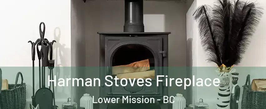  Harman Stoves Fireplace Lower Mission - BC