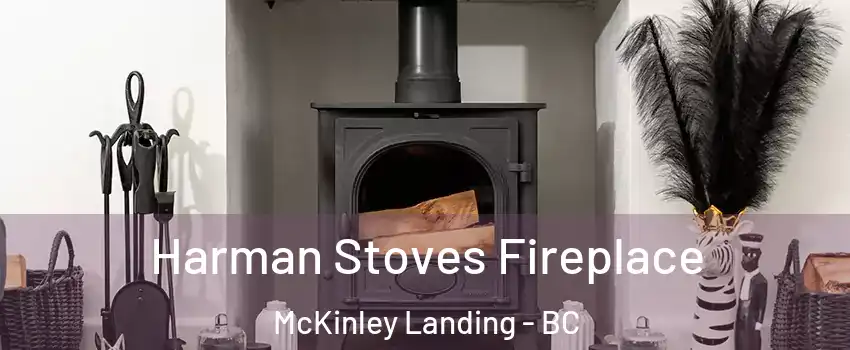  Harman Stoves Fireplace McKinley Landing - BC