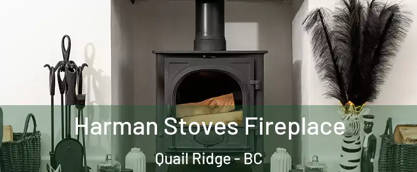 Harman Stoves Fireplace Quail Ridge - BC