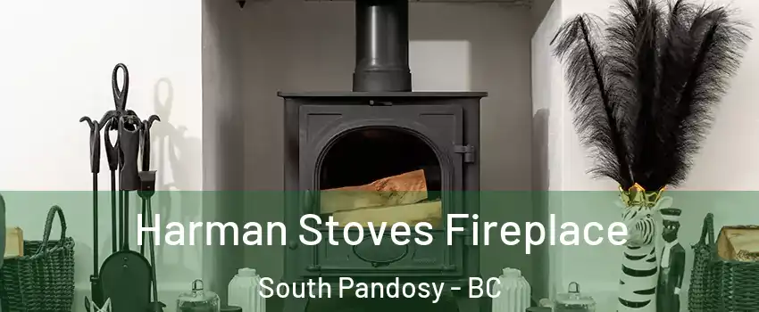  Harman Stoves Fireplace South Pandosy - BC