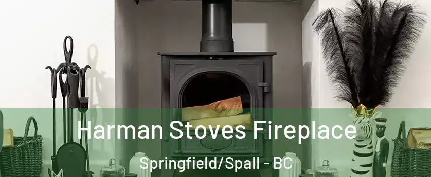  Harman Stoves Fireplace Springfield/Spall - BC