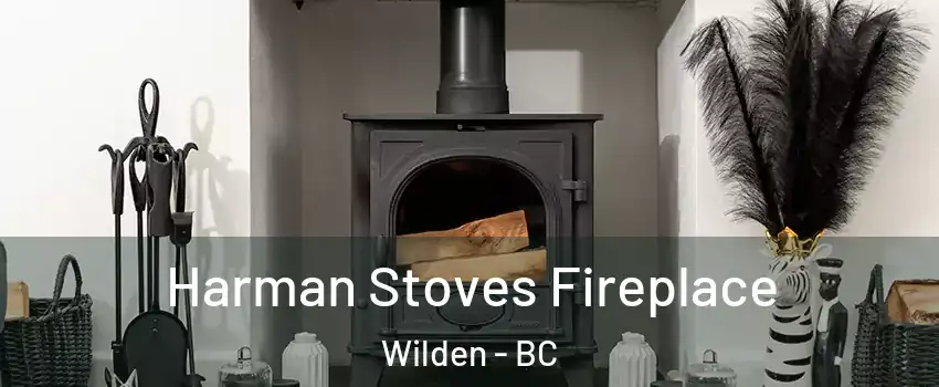  Harman Stoves Fireplace Wilden - BC