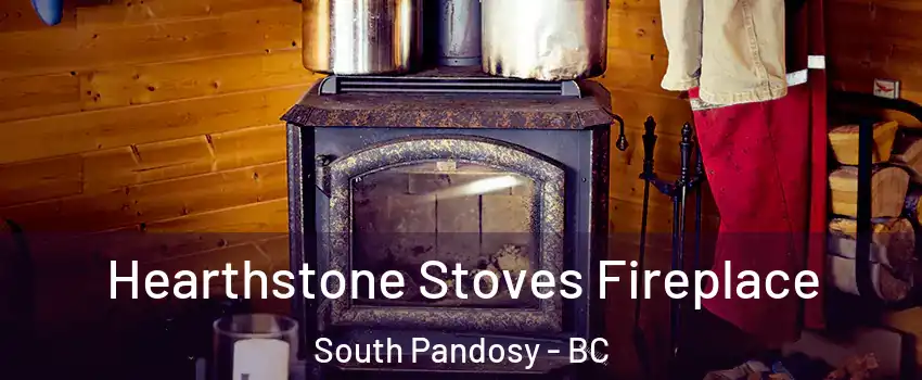 Hearthstone Stoves Fireplace South Pandosy - BC