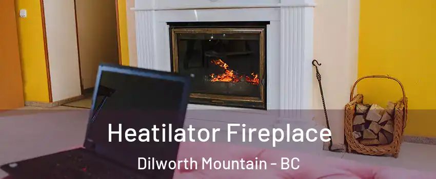  Heatilator Fireplace Dilworth Mountain - BC