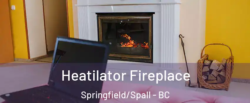  Heatilator Fireplace Springfield/Spall - BC