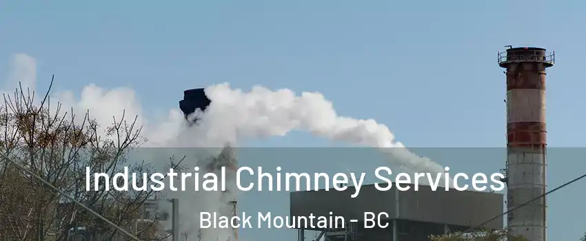  Industrial Chimney Services Black Mountain - BC