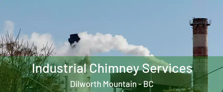  Industrial Chimney Services Dilworth Mountain - BC