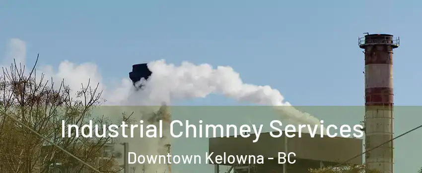  Industrial Chimney Services Downtown Kelowna - BC