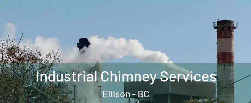  Industrial Chimney Services Ellison - BC