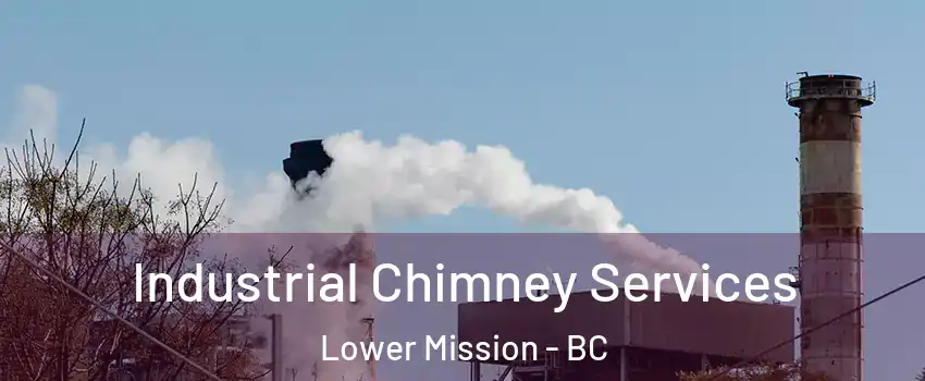  Industrial Chimney Services Lower Mission - BC