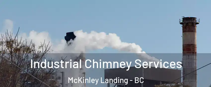  Industrial Chimney Services McKinley Landing - BC