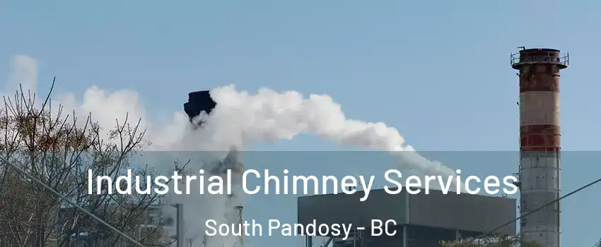  Industrial Chimney Services South Pandosy - BC