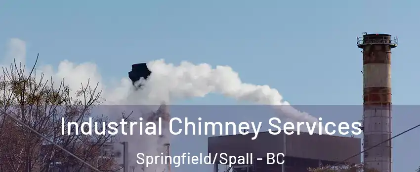  Industrial Chimney Services Springfield/Spall - BC