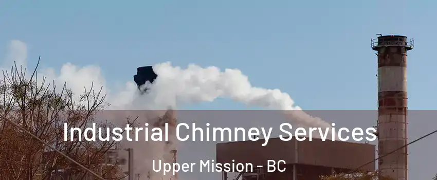  Industrial Chimney Services Upper Mission - BC