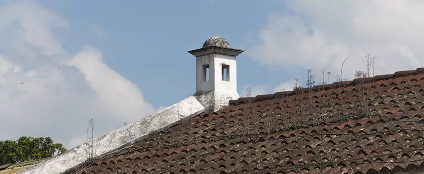 Wind-Resistant Chimney Caps Installation and Repair Services in Glenmore, British Columbia