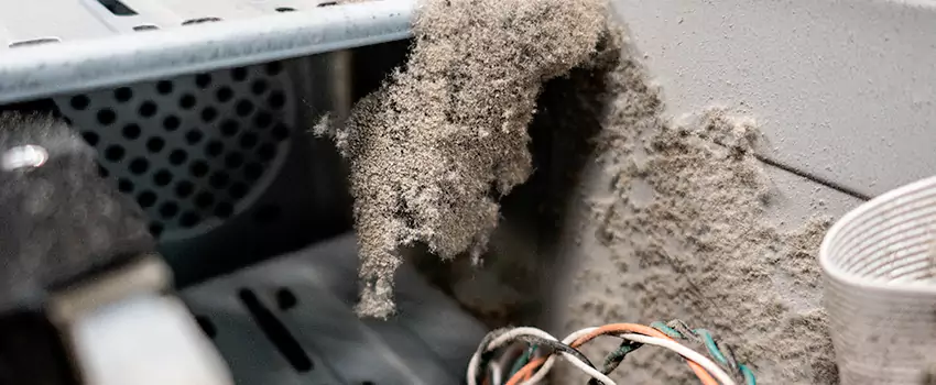 Clogged Dryer Vent Lint Cleaning in Rutland, British Columbia