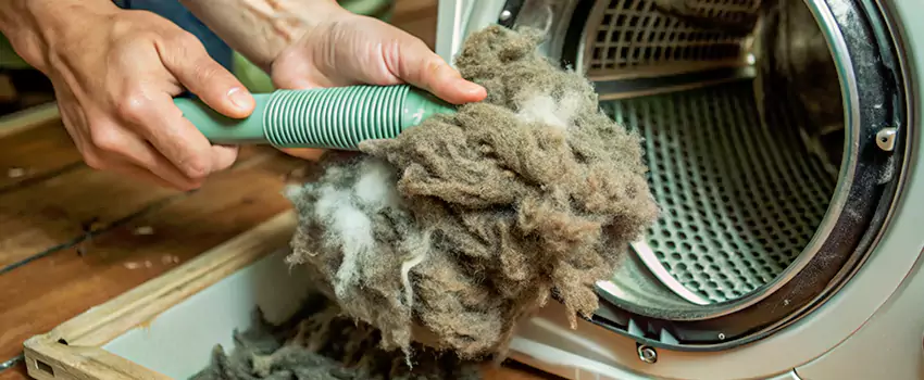 Best Dryer Lint Removal Company in Ellison, British Columbia