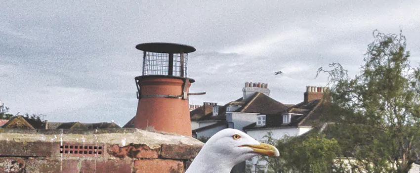 Chimney Cap Bird Guard Repair in Glenmore, British Columbia