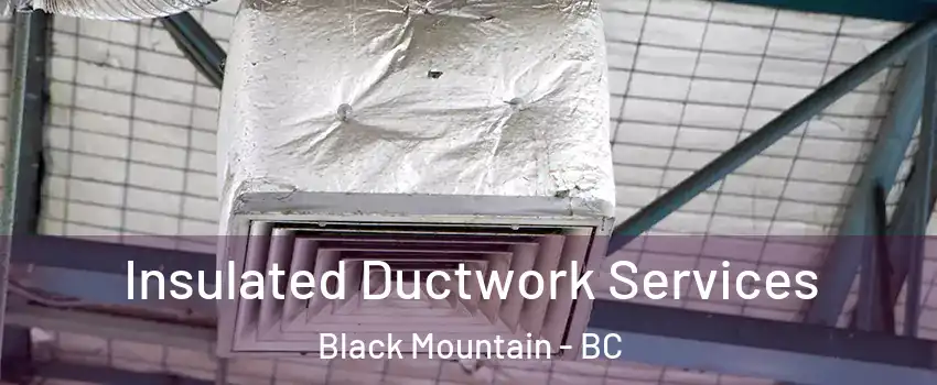  Insulated Ductwork Services Black Mountain - BC