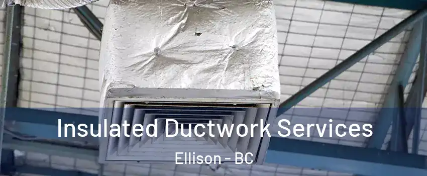  Insulated Ductwork Services Ellison - BC