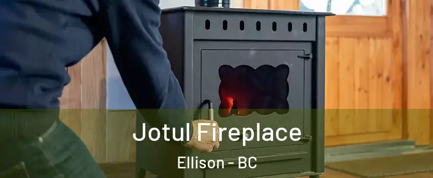  Jotul Fireplace Ellison - BC