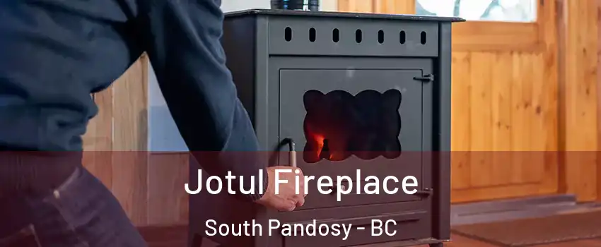  Jotul Fireplace South Pandosy - BC