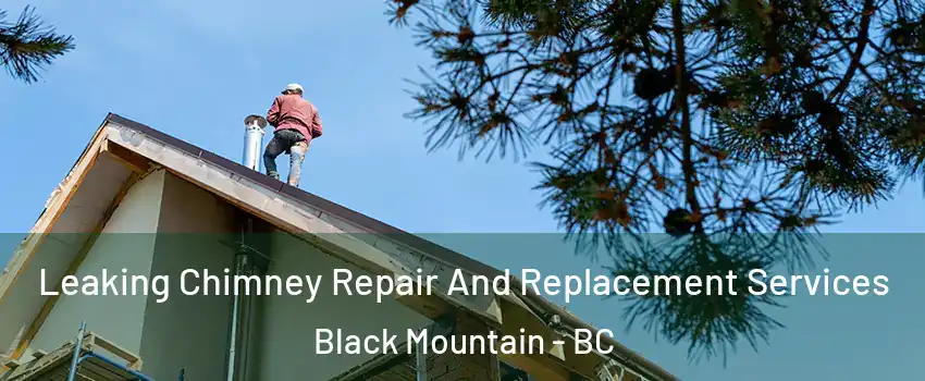  Leaking Chimney Repair And Replacement Services Black Mountain - BC