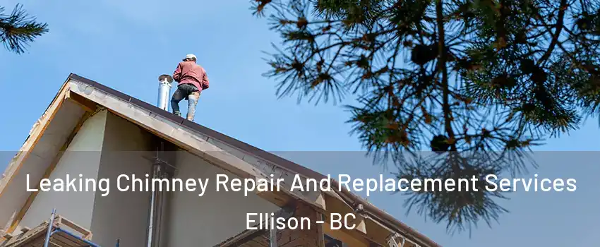  Leaking Chimney Repair And Replacement Services Ellison - BC