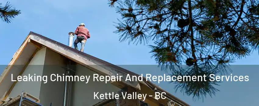  Leaking Chimney Repair And Replacement Services Kettle Valley - BC