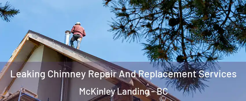  Leaking Chimney Repair And Replacement Services McKinley Landing - BC
