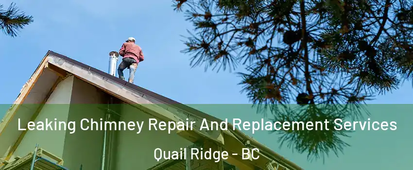  Leaking Chimney Repair And Replacement Services Quail Ridge - BC