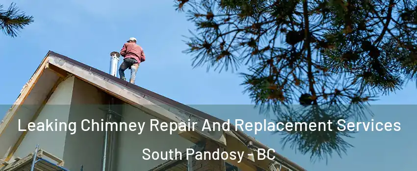  Leaking Chimney Repair And Replacement Services South Pandosy - BC