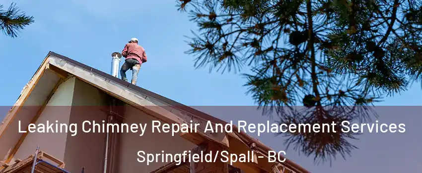  Leaking Chimney Repair And Replacement Services Springfield/Spall - BC