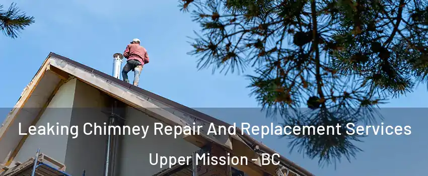  Leaking Chimney Repair And Replacement Services Upper Mission - BC