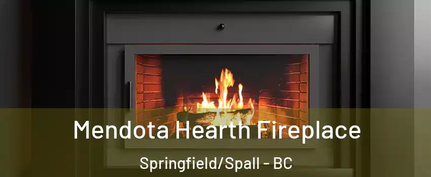 Mendota Hearth Fireplace Springfield/Spall - BC