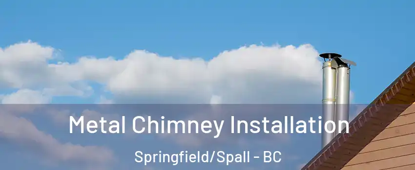  Metal Chimney Installation Springfield/Spall - BC