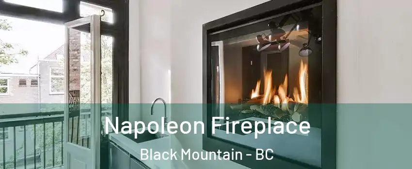  Napoleon Fireplace Black Mountain - BC