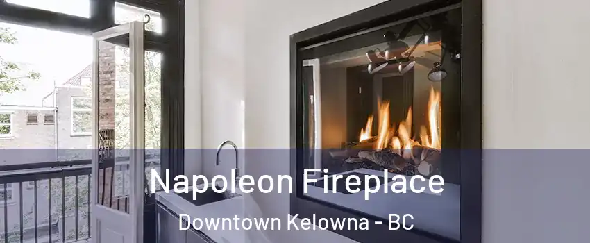  Napoleon Fireplace Downtown Kelowna - BC