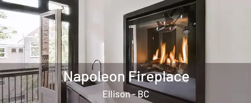  Napoleon Fireplace Ellison - BC
