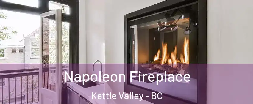  Napoleon Fireplace Kettle Valley - BC
