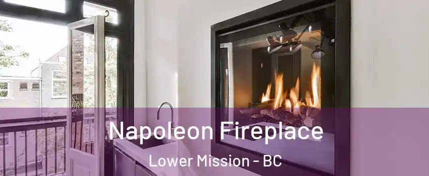  Napoleon Fireplace Lower Mission - BC